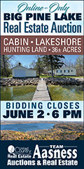 Big Pine Lake MN Real Estate Auction