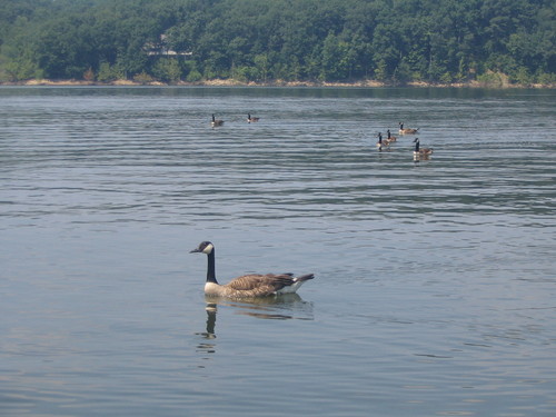 Lake Monroe photo