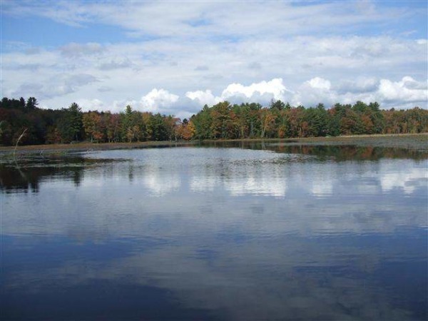 Black Lake - Sullivan County photo
