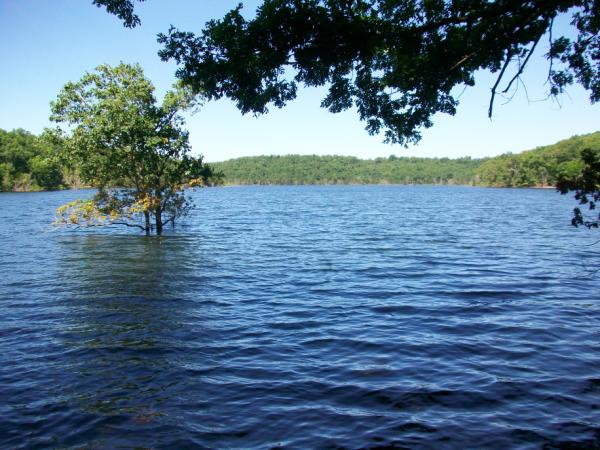 Bull Shoals Lake photo